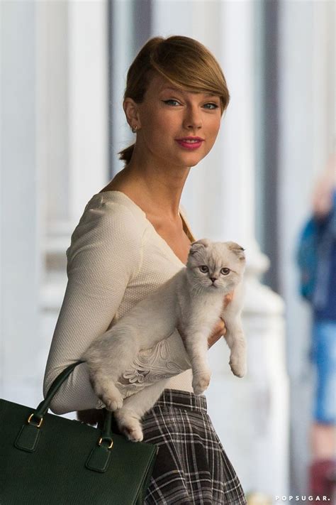 Taylor Swift Carrying Her Cat in NYC | PS Celebrity