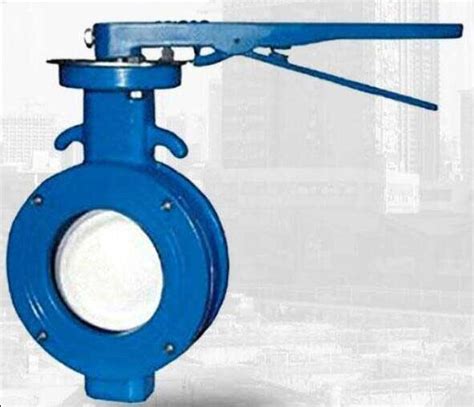 Achieve Optimal Performance With Our Eccentric Butterfly Valves