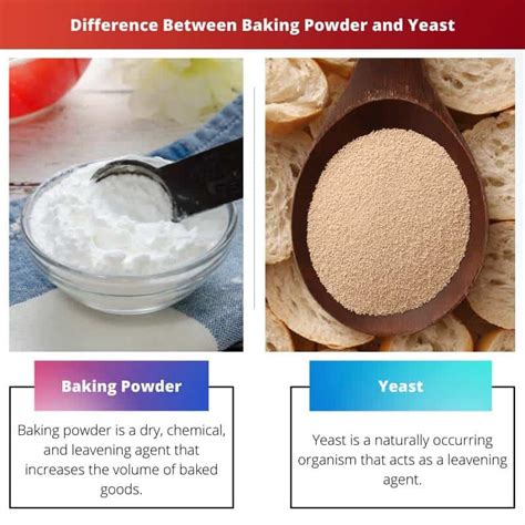 Baking Powder Vs Yeast Difference And Comparison