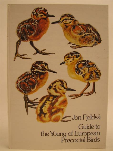 Guide to the young of European precocial birds: Fjeldså, Jon: 9788787581127: Amazon.com: Books