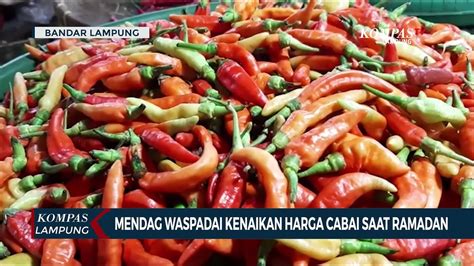 Mendag Waspadai Kenaikan Harga Cabai Di Masa Ramadan Panennya Susah