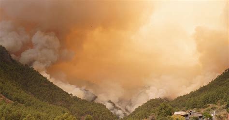 Incêndios Mais De 26 Mil Pessoas Retiradas De Casa Em Tenerife Oeste