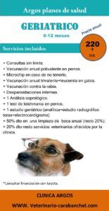 Planes De Salud Veterinario Carabanchel