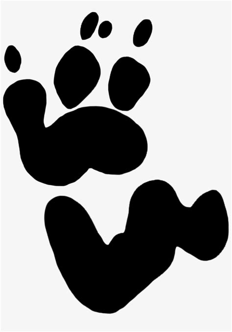 Drawing Footprints Realistic Koala Bear Koala Footprint 945x1140