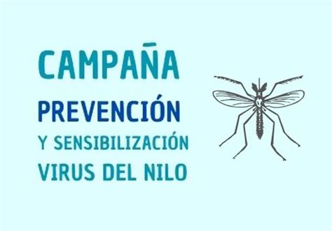 Campa A De Prevenci N Virus Del Nilo