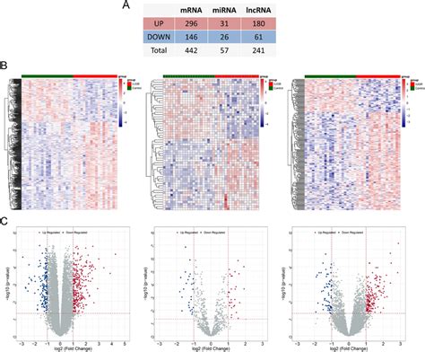 Screening Of DE MRNAs DE MiRNAs And DE LncRNAs Between FGR And Normal