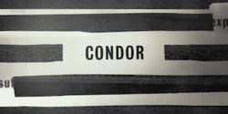 Condor (TV series) - Wikipedia