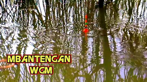 MANCING NYOBOK WGM TERBARU SPOT BANTENGAN WADUK GAJAH MUNGKUR YouTube