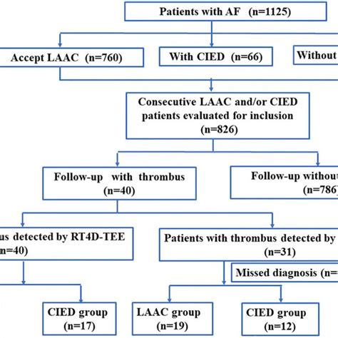 Transesophageal Echocardiography Follow Up Images After Laac Showing Download Scientific