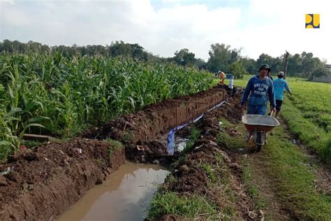 Program Padat Karya Tunai Tahun Serap Tenaga Kerja