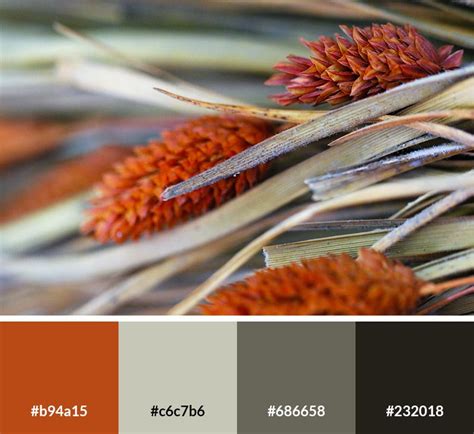 Earth Tone Color Palettes With Hex Codes Vandelay Design