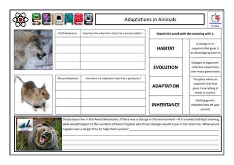 Adaptations in Animals (Predators & Prey) CLF Lesson & Resources - Lesson 6 - KS4 BIOLOGY ...