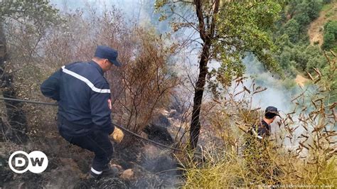 Viele Opfer bei Waldbränden in Algerien DW 18 08 2022