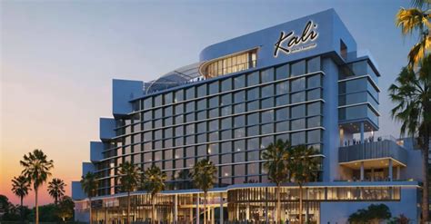 The Mysterious Rise Of Dr. Kali Chaudhuri's Fortune