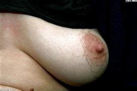 Women With Hairy Breasts Porn Pictures XXX Photos Sex Images 254009 PICTOA