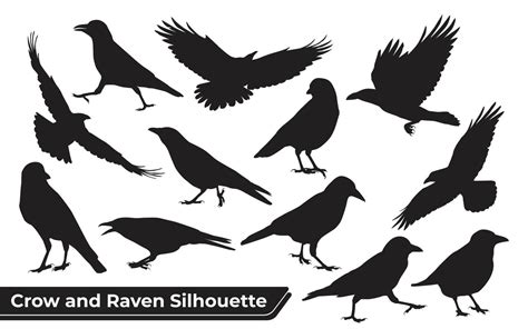 Raven Vector Art, Icons, and Graphics for Free Download