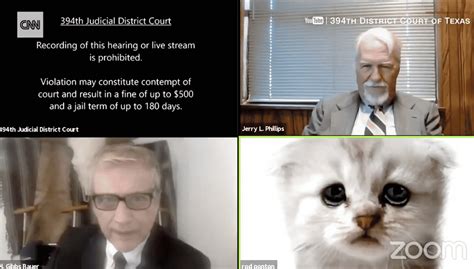 Lawyer Tells Judge He Is ‘Not a Cat’ After Filter Difficulties on Zoom ...