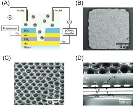 Figure From Voltage Gated Nanoparticle Transport And Collisions In