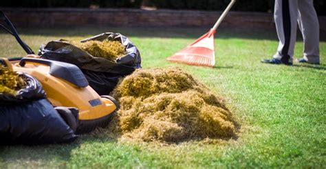 Rasen Erneuern Kosteng Nstig Ohne Umgraben Plantura