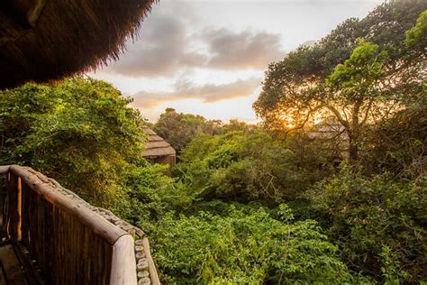 Thonga Beach Lodge 2022 Prices And Reviews Isimangaliso Wetland Park