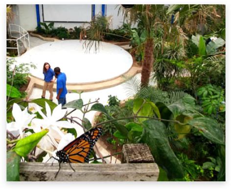 Plan Your Visit - Philadelphia Insectarium and Butterfly Pavilion ...