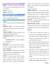 Reproductive System Docx Reproductive System Reviewer Gonads Primary Sex Organs Testes Male