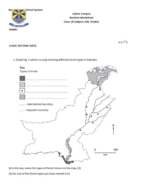 forest  forests deforestation