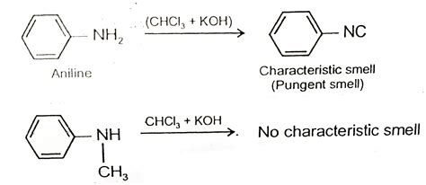 Give A Chemical Test To Distinguish Between Aniline And N Methylanilin