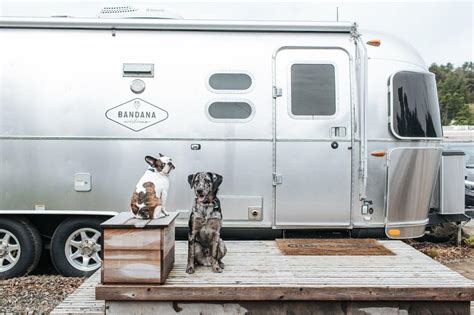 Glamp With Fido at a Pet-Friendly Airstream Retreat - BringFido