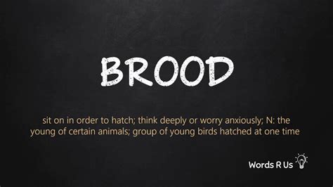 How To Pronounce Brood In American English Youtube