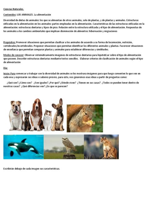 Ciencias Naturales Animales y Su Aliemntacion | PDF | Plantas | Aves