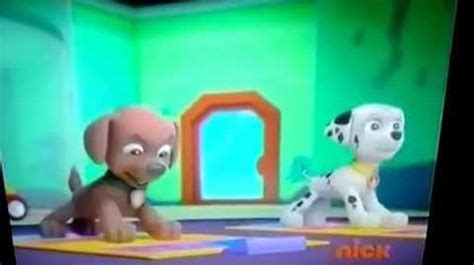 Video - So You Think You Can Pup Pup Boogie Dance-off | PAW Patrol Wiki ...