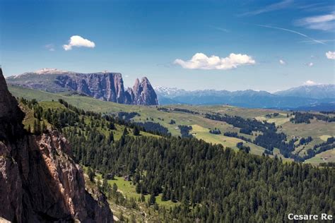 Facile Camminata Per Ammirare Lo Spettacolo Delle Fioriture Primaverili