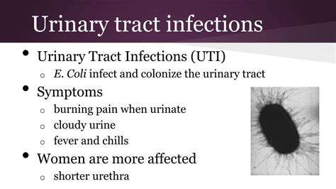 Ppt Cranberry Juice And Bladder Infections Powerpoint Presentation Id2845192