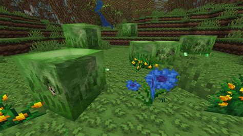 Minecraft How To Find Slime Chunks Without Seeds Gameskinny