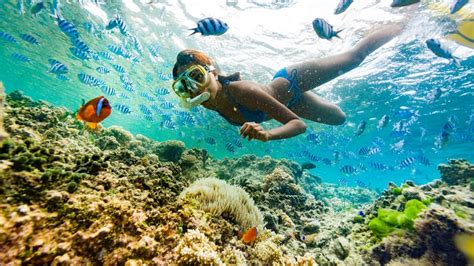 south sea snorkelling fijidream
