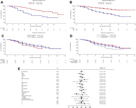 Efficacy And Safety Of Sh 1028 In Patients With Egfr T790m Positive