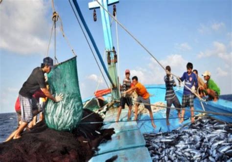 Myanmar Expects To Trade Massive Tons Of Fishery Products To Russia