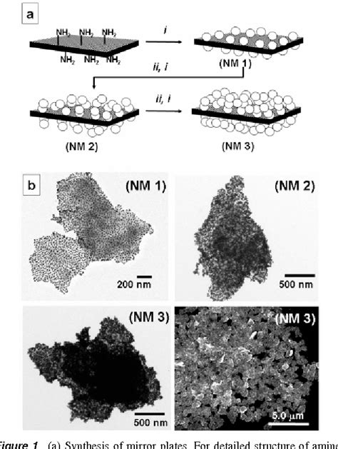 Figure 1 From Planar Gold Nanoparticle Clusters As Microscale Mirrors