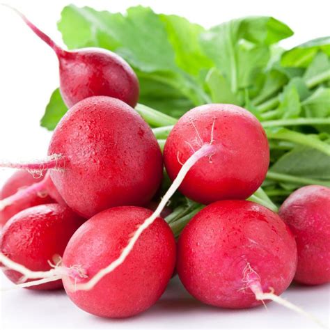 cherry red belle radish seeds welldales