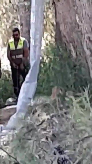 Hot Trucker Peeing ThisVid