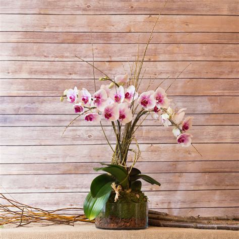 HAWAII ORCHID in New York, NY | Flowers by Philip