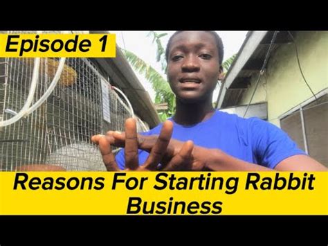 Rabbit Farming Business Plan How To Start A Rabbit Business Rabbitry