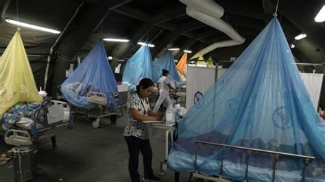 Guatemala Declara Emergencia A Nivel Nacional Por Brote De Dengue