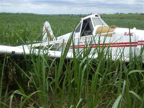 G1 Motor de aeronave para e piloto faz pouso forçado em canavial em