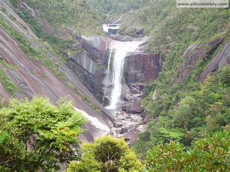 THE WATERFALLS OF YAKUSHIMA - Yakushima: A Visitors Guide