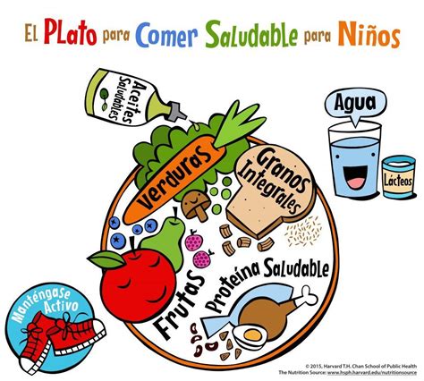 Nuevo Plato De Alimentaci N Saludable Para Ni Os De Harvard