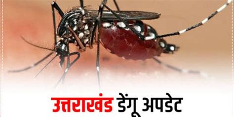 उत्तराखंड में डेंगू का डंक हुआ बेकाबू 3000 पार पहुंचा आंकड़ा16 लोगों की जा चुकी है जान