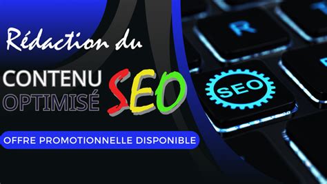 Je Vais R Diger Le Contenu Optimis Seo De Votre Site Web Par Ro Wordpress