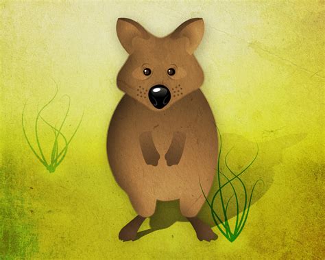 Day 17 - Quokka by ACampion on DeviantArt